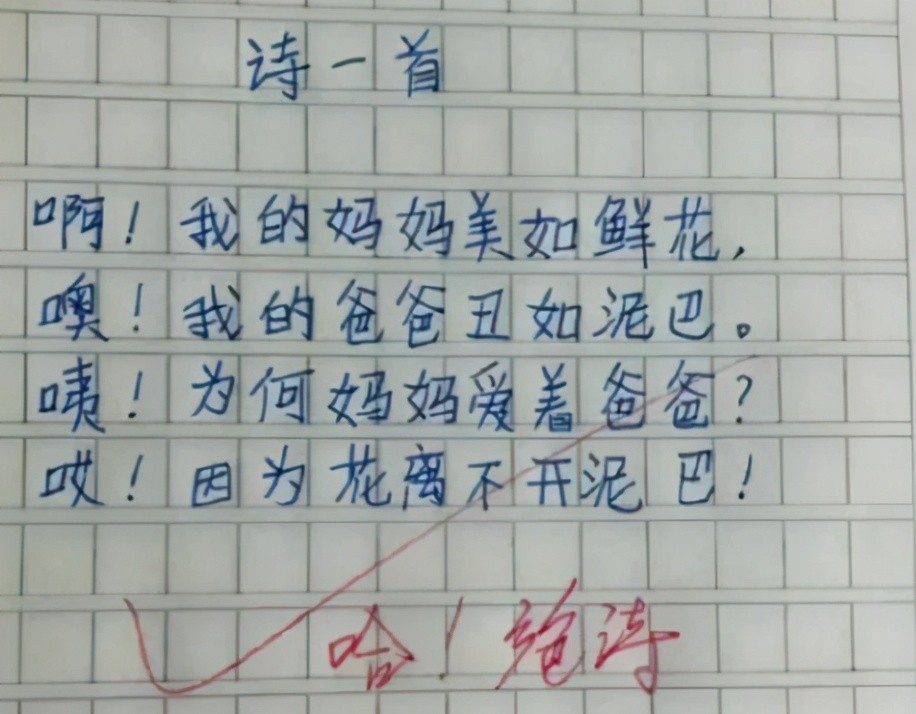 童言无忌，小学生0分作文背后的笑果与深思