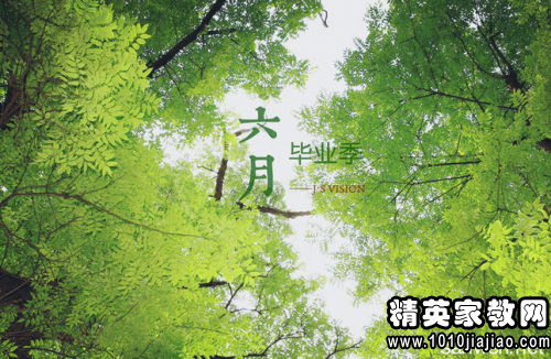 大青树下的小学——童年的温馨记忆与成长启航的地方