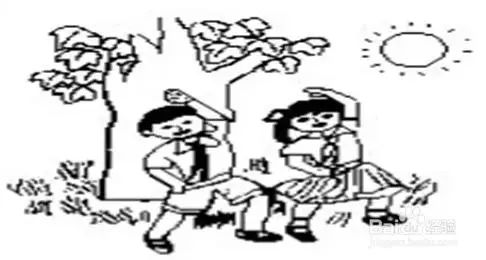 小学二年级看图写话，小兔子的奇妙冒险