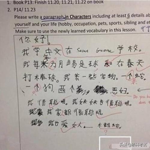 小学拼音，开启语言学习之门的钥匙