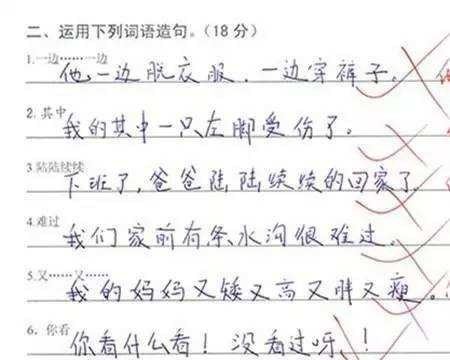 到底造句，二年级小学生的奇妙世界