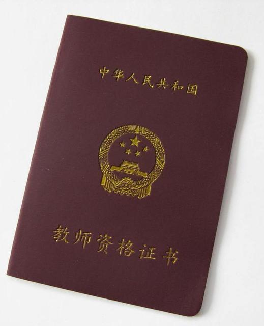 探索教育新起点，中小学教师资格网的全面解析与展望