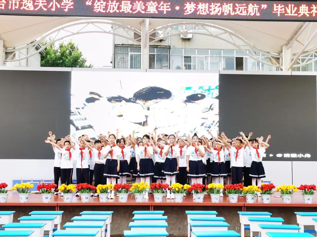 逸夫小学，梦想启航的地方