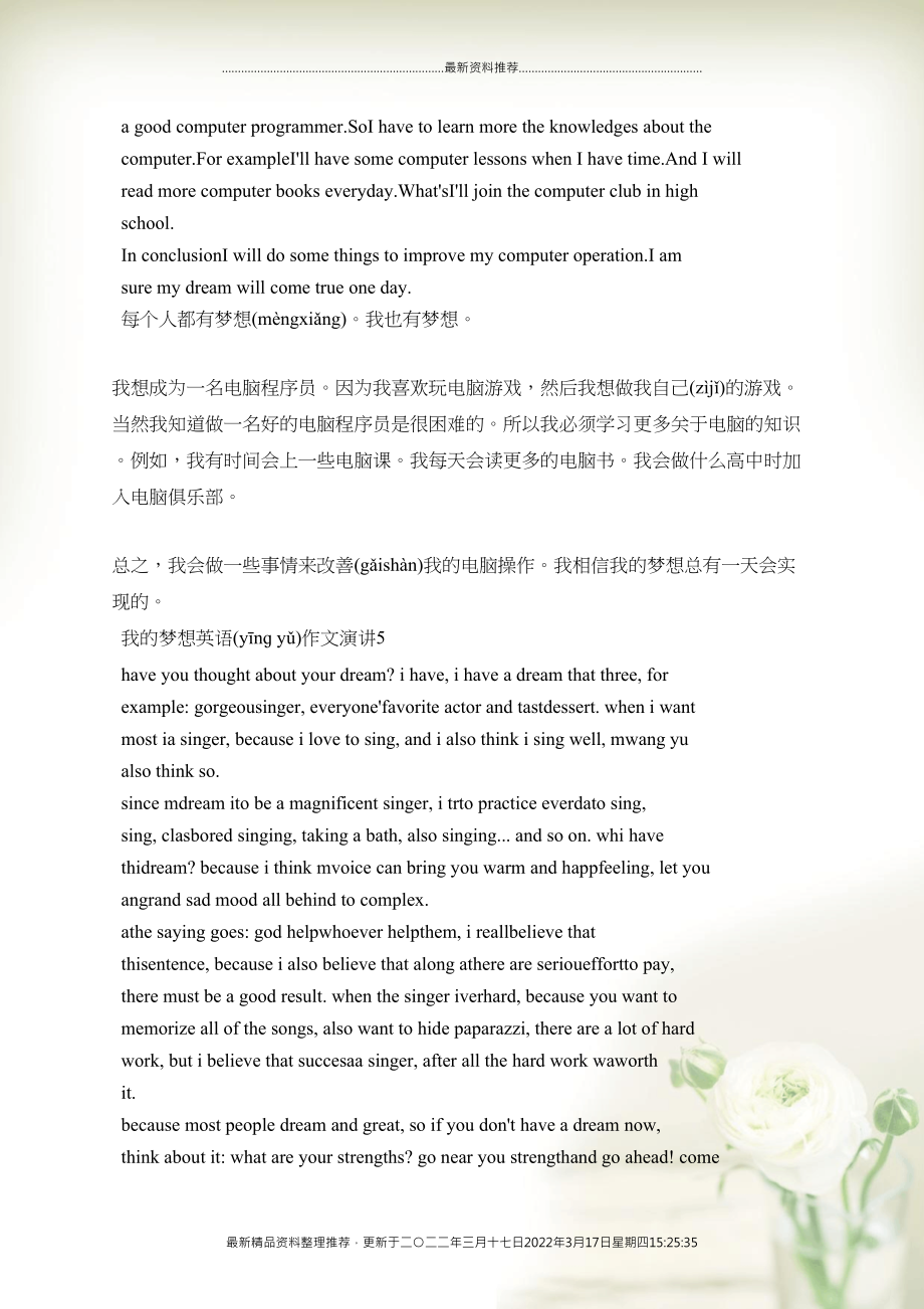 小学英语作文，我的梦想之旅
