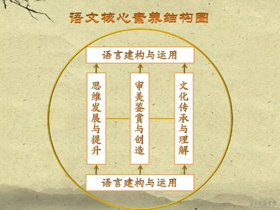 小学语文课程标准，奠基学生语言与思维能力的基石
