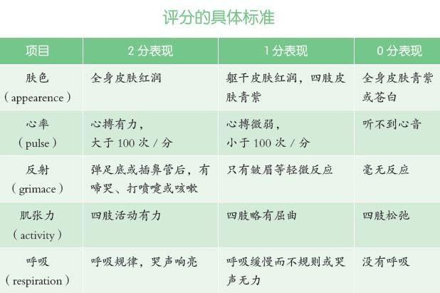 科学规划，健康成长，小学生作息时间表的重要性与实施策略