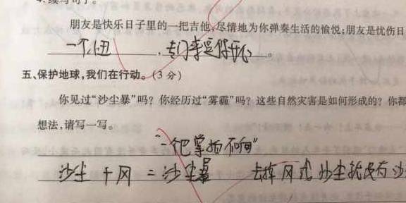 小学试卷，成长的见证与挑战的起点