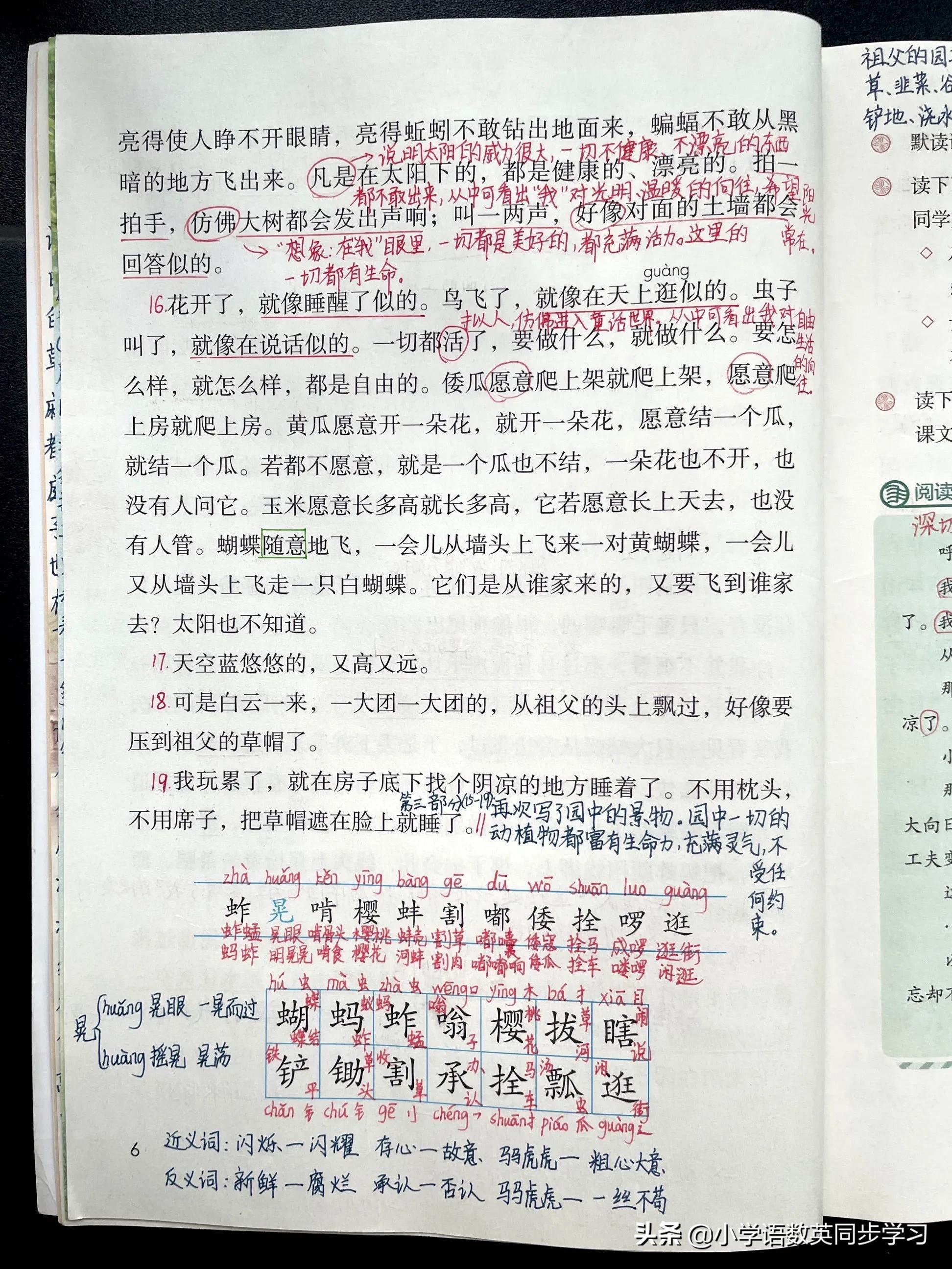 大青树下的小学，一堂生动的语文课与童年的美好回忆