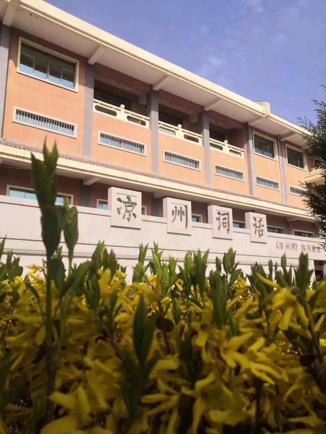 古诗大全300首，小学篇——穿越千年的文化之旅