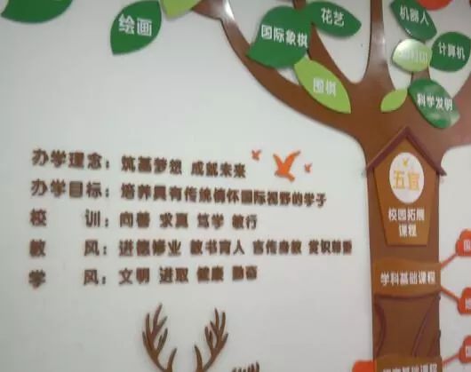 大学南路小学，知识的灯塔，成长的摇篮