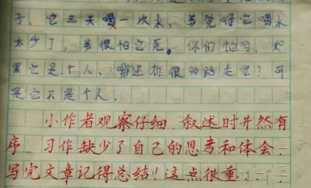 小学作文评语，点亮童心，启迪智慧的火花