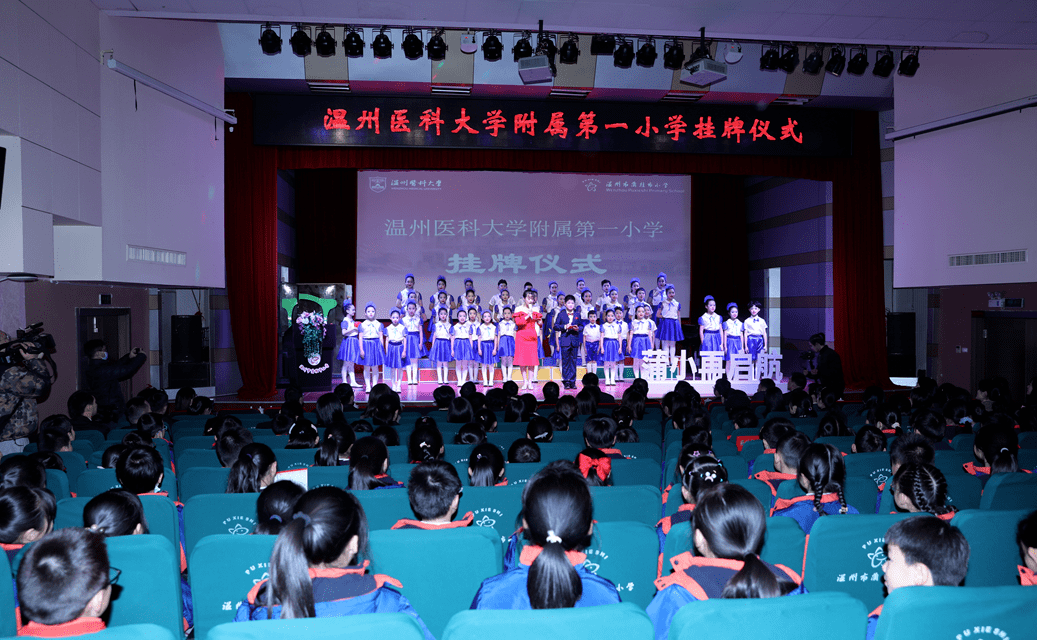 小学数学教育，奠基未来，点亮智慧之光