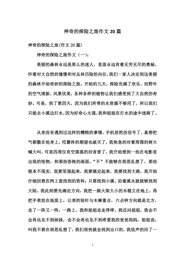 小学二年级作文，我的奇妙探险之旅