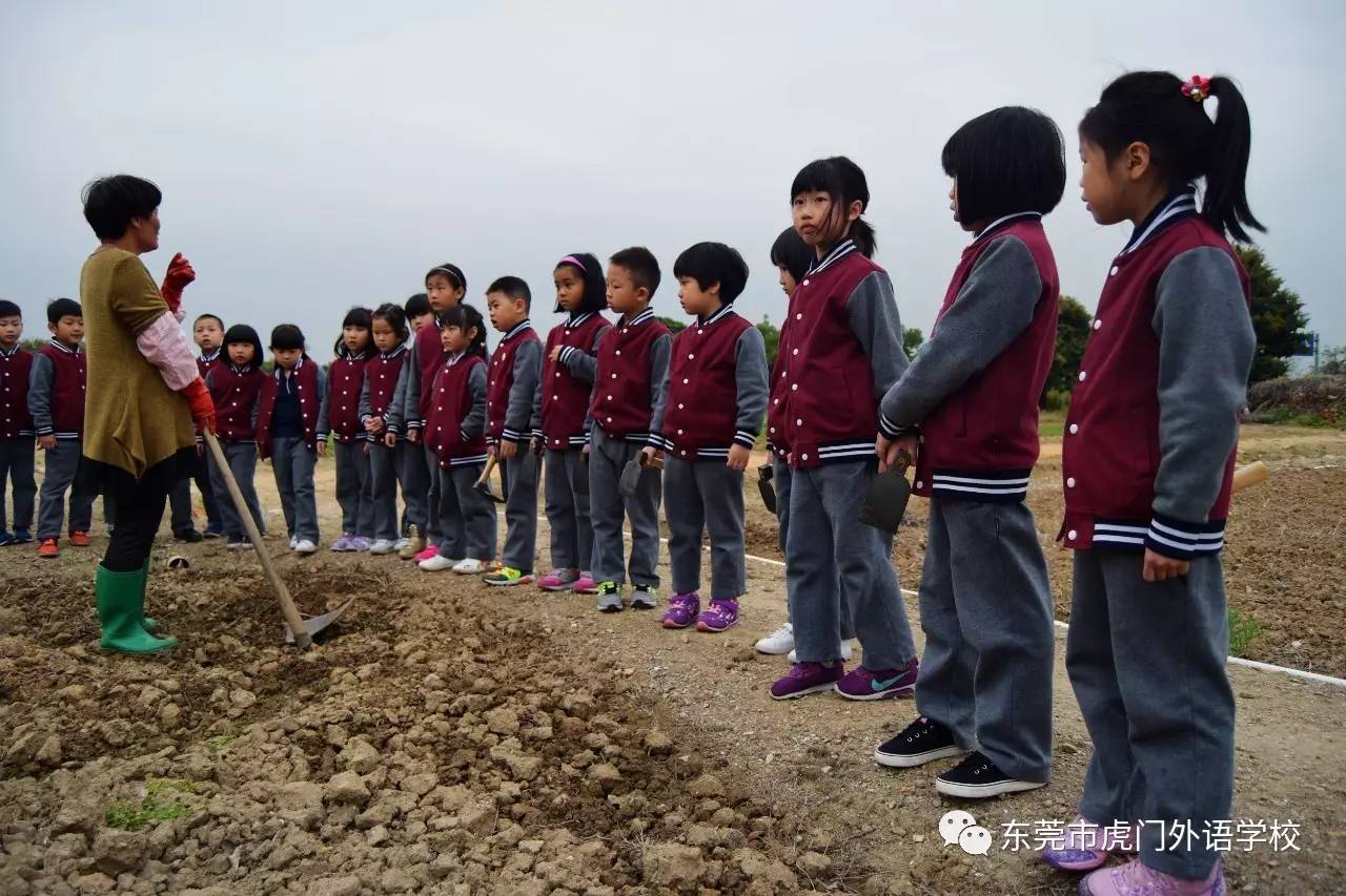 育红小学，播种希望，收获未来的摇篮
