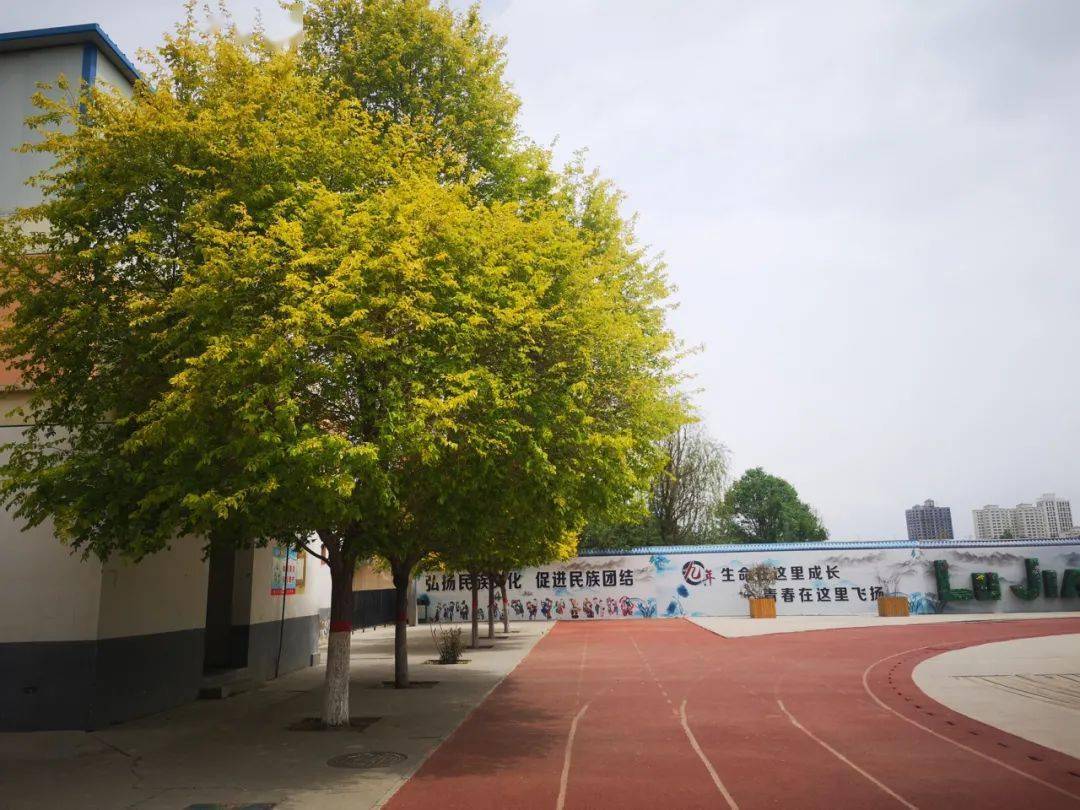学校通知 第423页