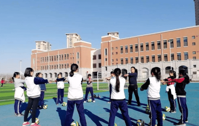 小学教师专业标准，塑造未来基石的灯塔