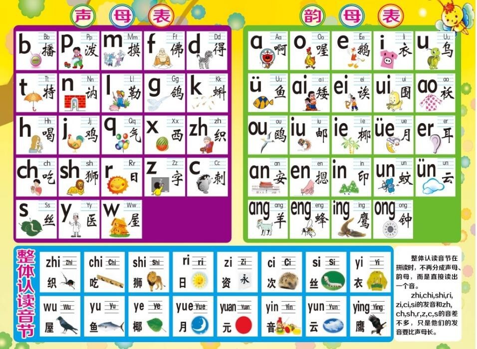 小学汉语拼音字母表，开启语言学习之旅的基石