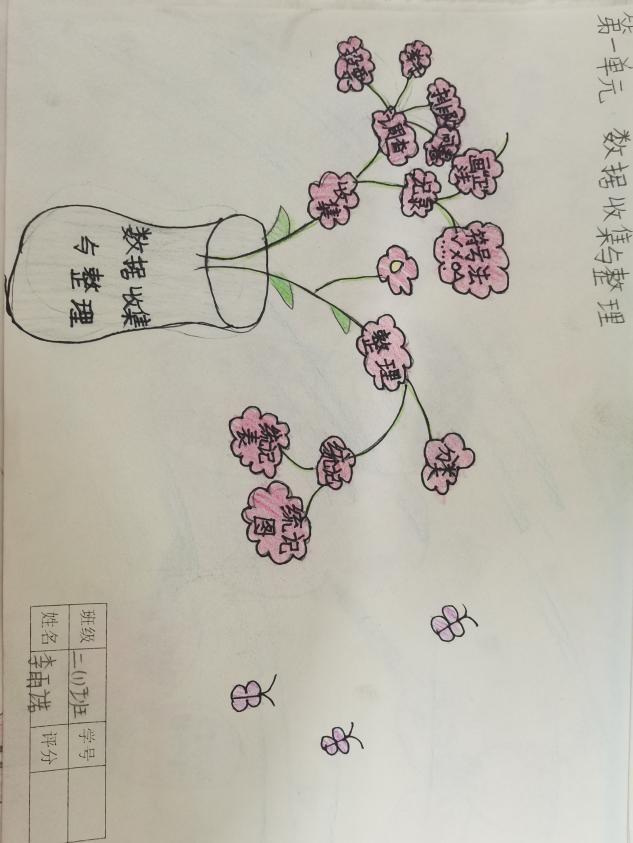 小学六年级数学上册，解锁思维与计算的双重挑战