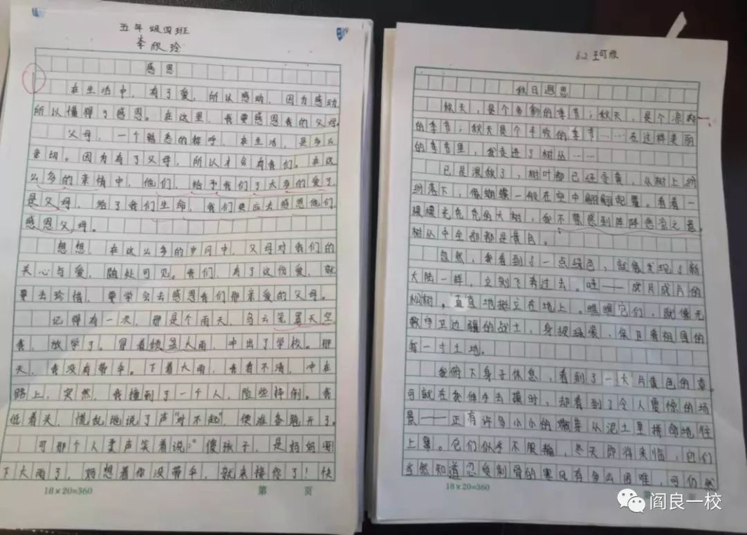 家长评语，简短有力，传递爱与期望