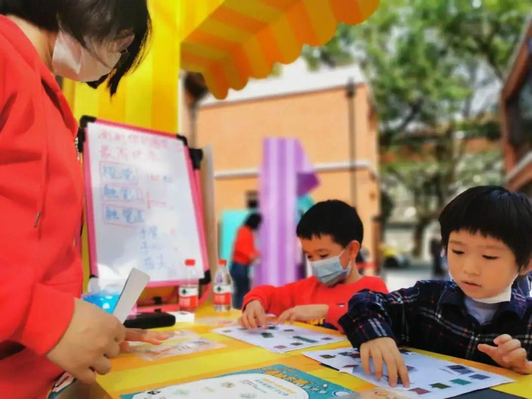 探索科学奥秘，小学生科学实验的奇妙之旅