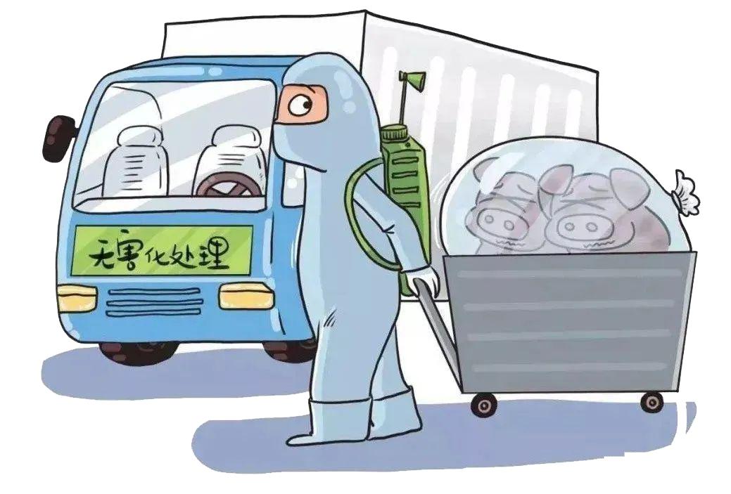 学生风采 第413页