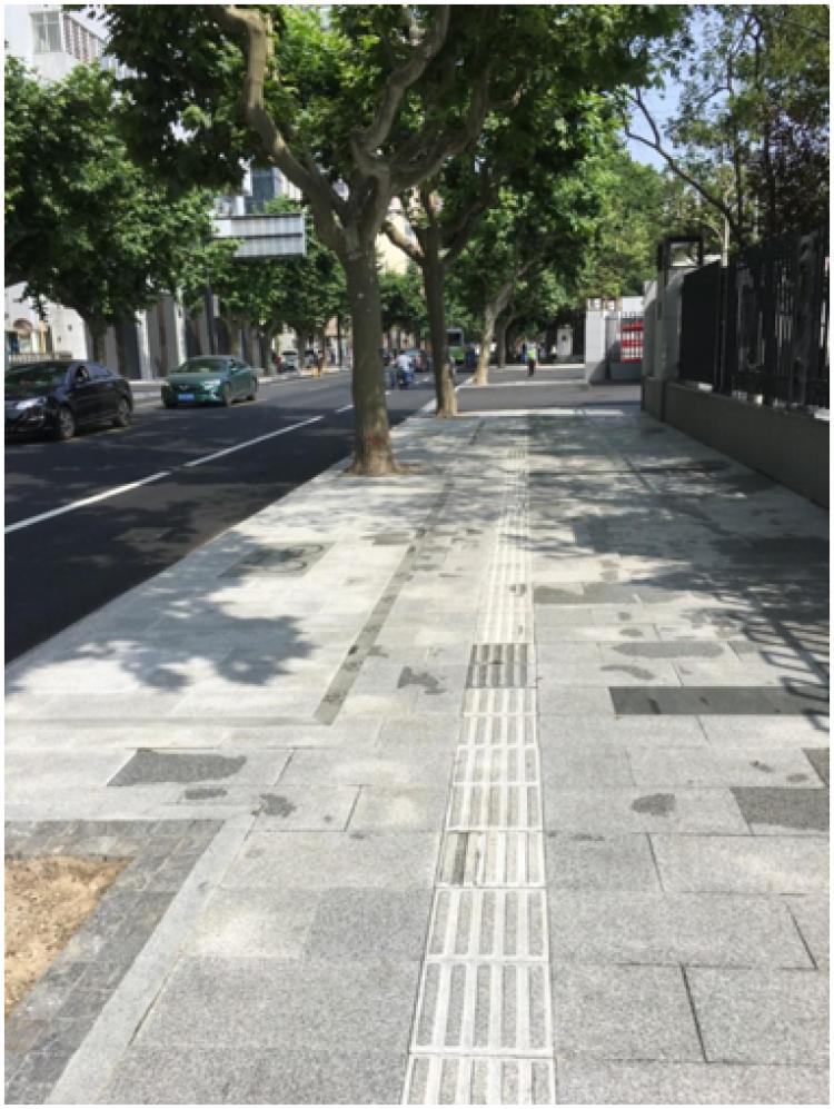 激发潜能，点亮未来，小学生课外阅读的重要性与实施策略
