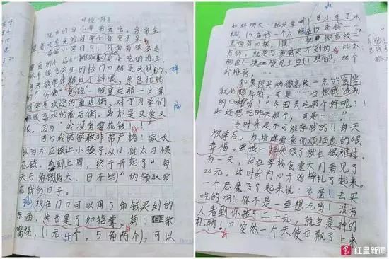 小学生日记，我的一天