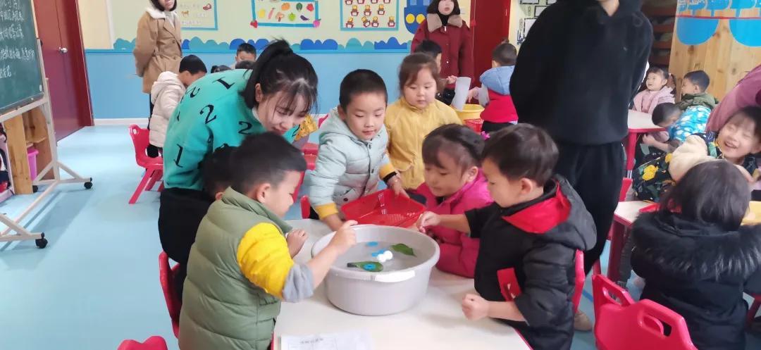 小学科学教案，激发好奇心，培养科学素养的启蒙之旅