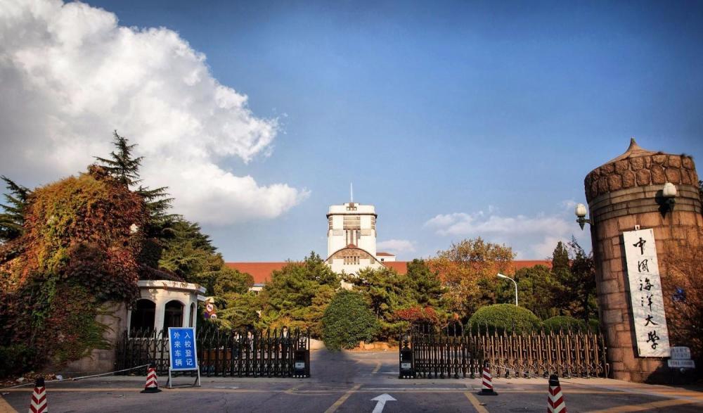 青岛大学路小学，梦想启航的摇篮