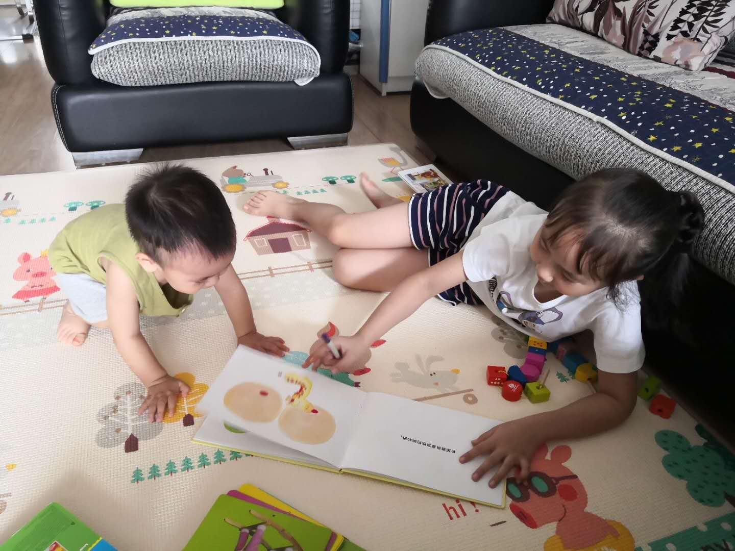 小学生日记，探索自然与生活的奇妙之旅