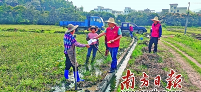 长青小学，播种希望，收获成长的沃土