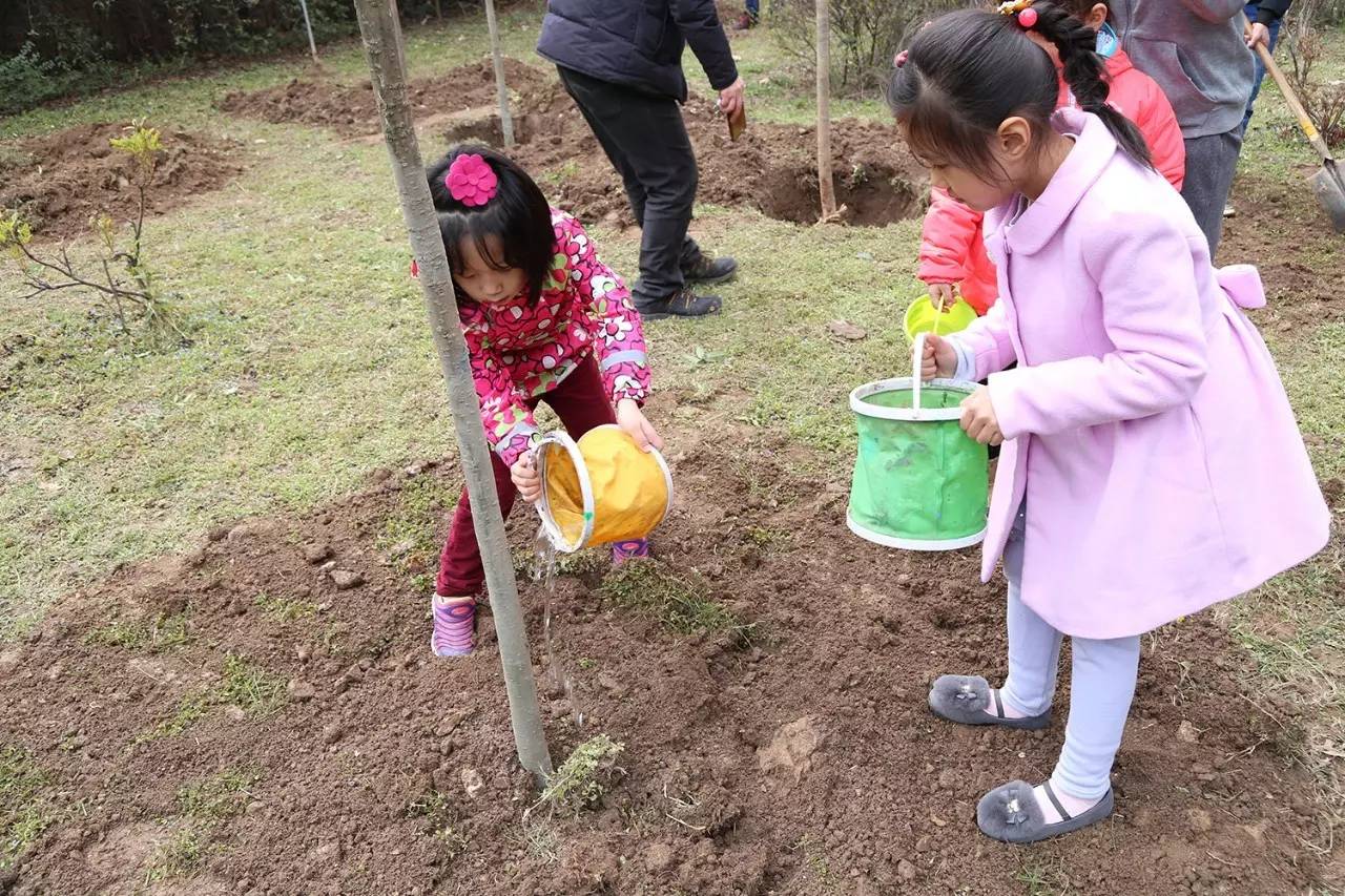 立新小学，播种希望，收获未来的摇篮