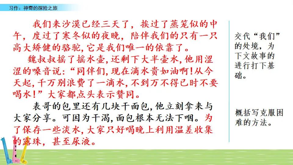 小学5年级作文，我的奇妙探险之旅