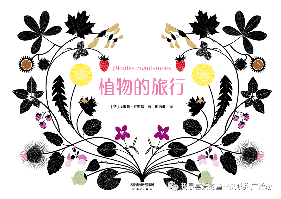 小学三年级植物记录卡，探索自然之美的奇妙旅程