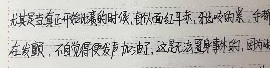 小学周记，记录成长足迹的彩色画册