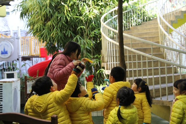 探索龙溪小学，山间书香与童年的乐园