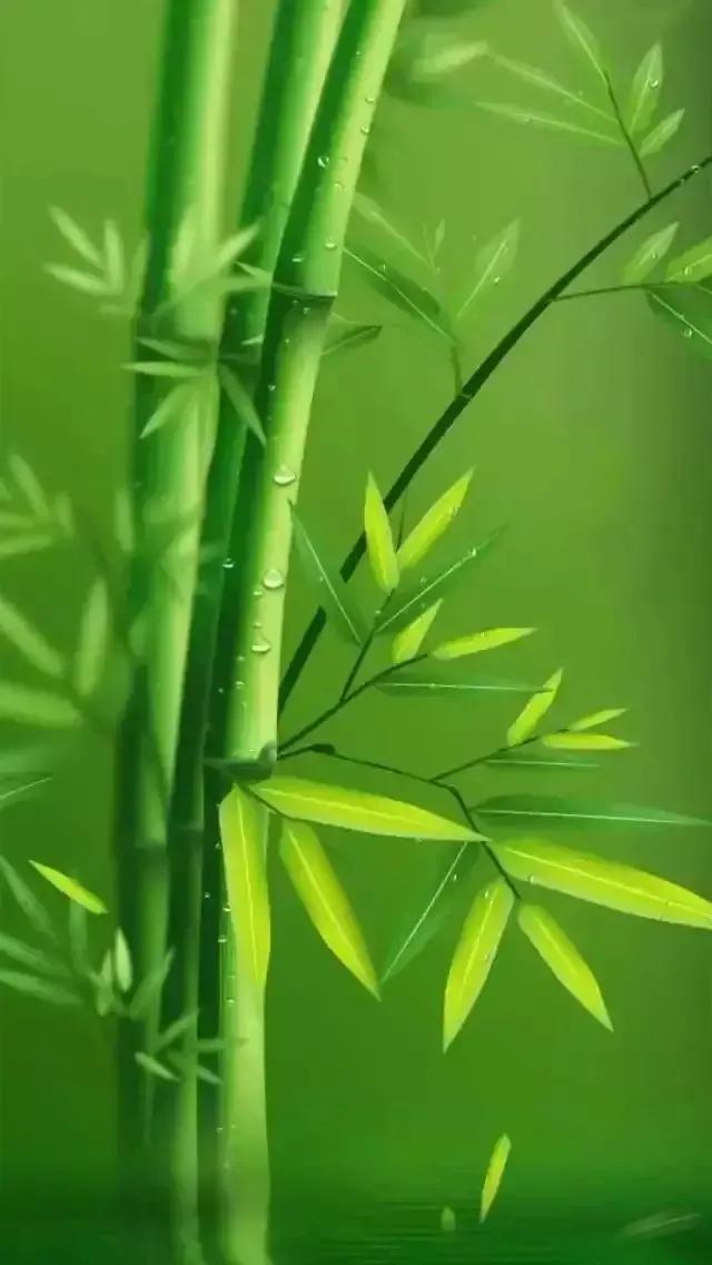 翠竹小学，绿意盎然的成长乐园
