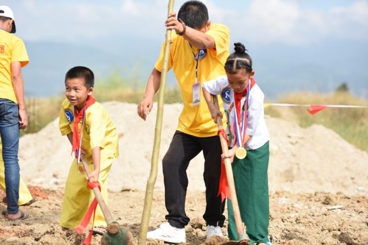 小学里的友谊树