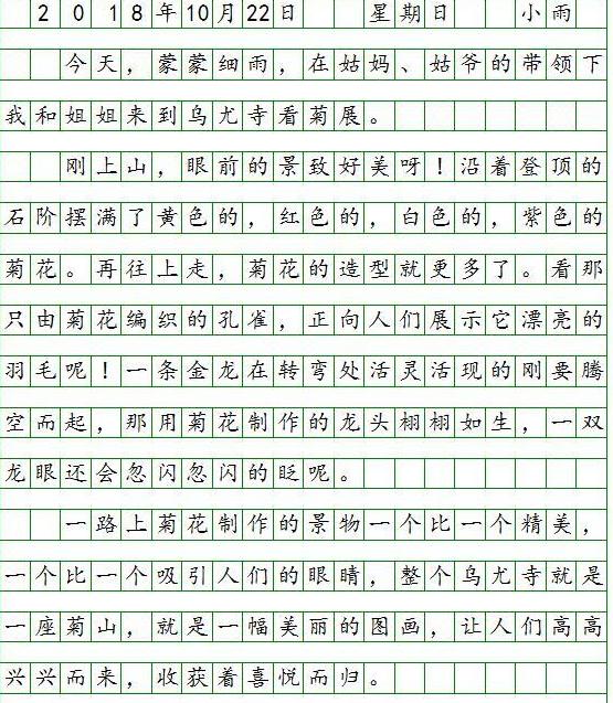 适合小学生养的宠物，温馨陪伴与责任教育的完美结合