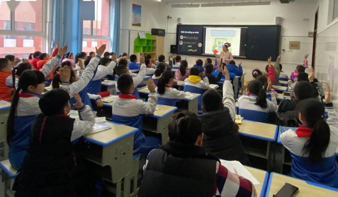 探索与成长，中小学教师教育网在教师专业发展中的角色与影响