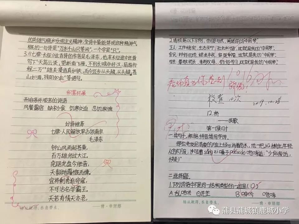 小学期末评语，成长的见证与激励的火花