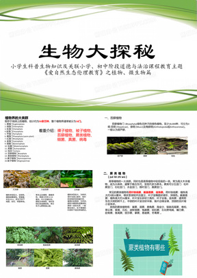 小学科学论文，探索植物生长的奥秘