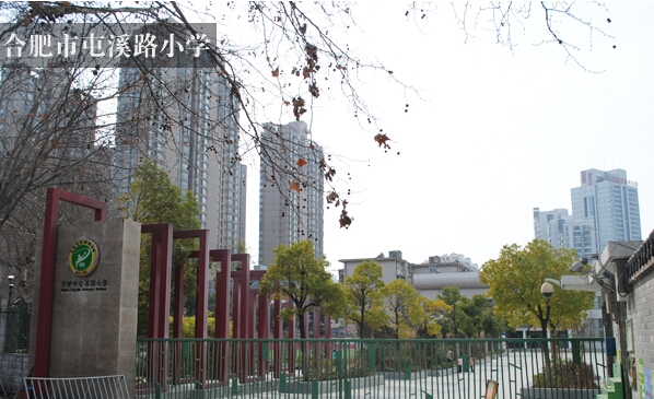 合肥市屯溪路小学，培育未来的摇篮