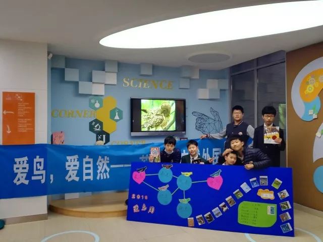 探索北京芳草地小学，教育的绿色摇篮