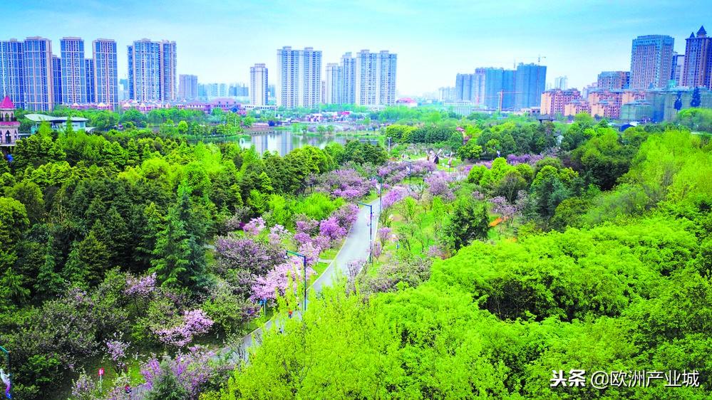 小学六年级语文上册，开启阅读与写作的新篇章
