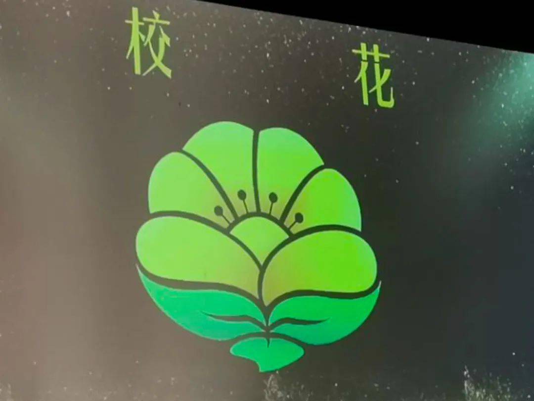 小学五年级的奇妙日常，我的成长小记