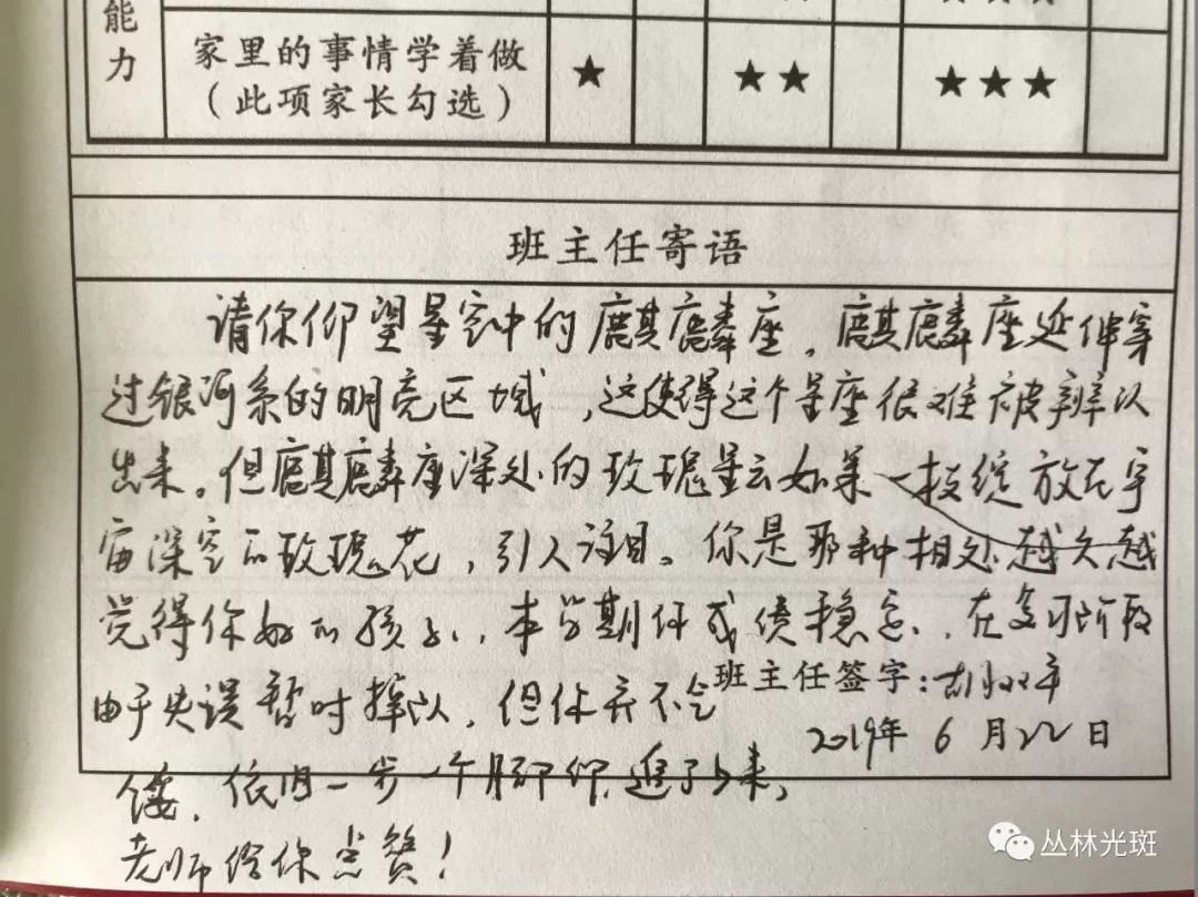 小学教师评语，点亮童年的灯塔