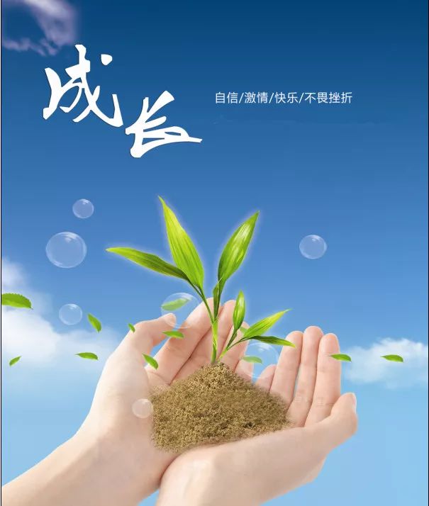 关注成长，守护心灵——小学生心理健康教案全解析