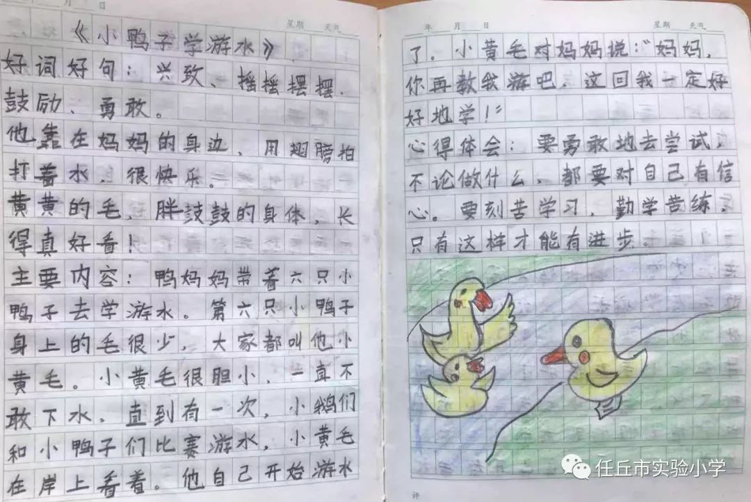 小学语文教学随笔，在童心与知识的桥梁上漫步