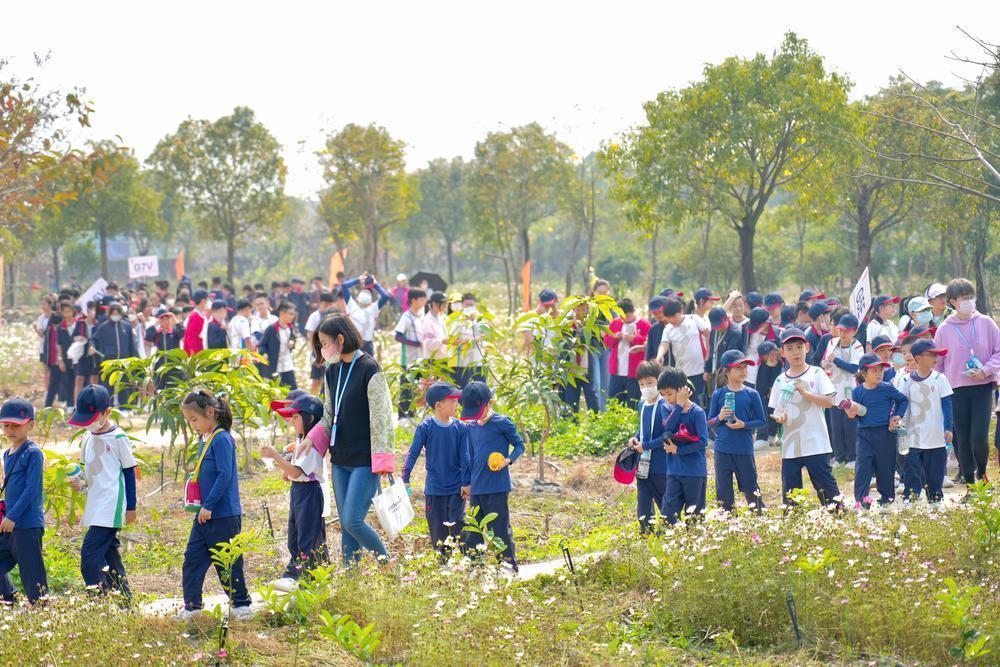 广州开发区第二小学，创新与传承并重的教育殿堂